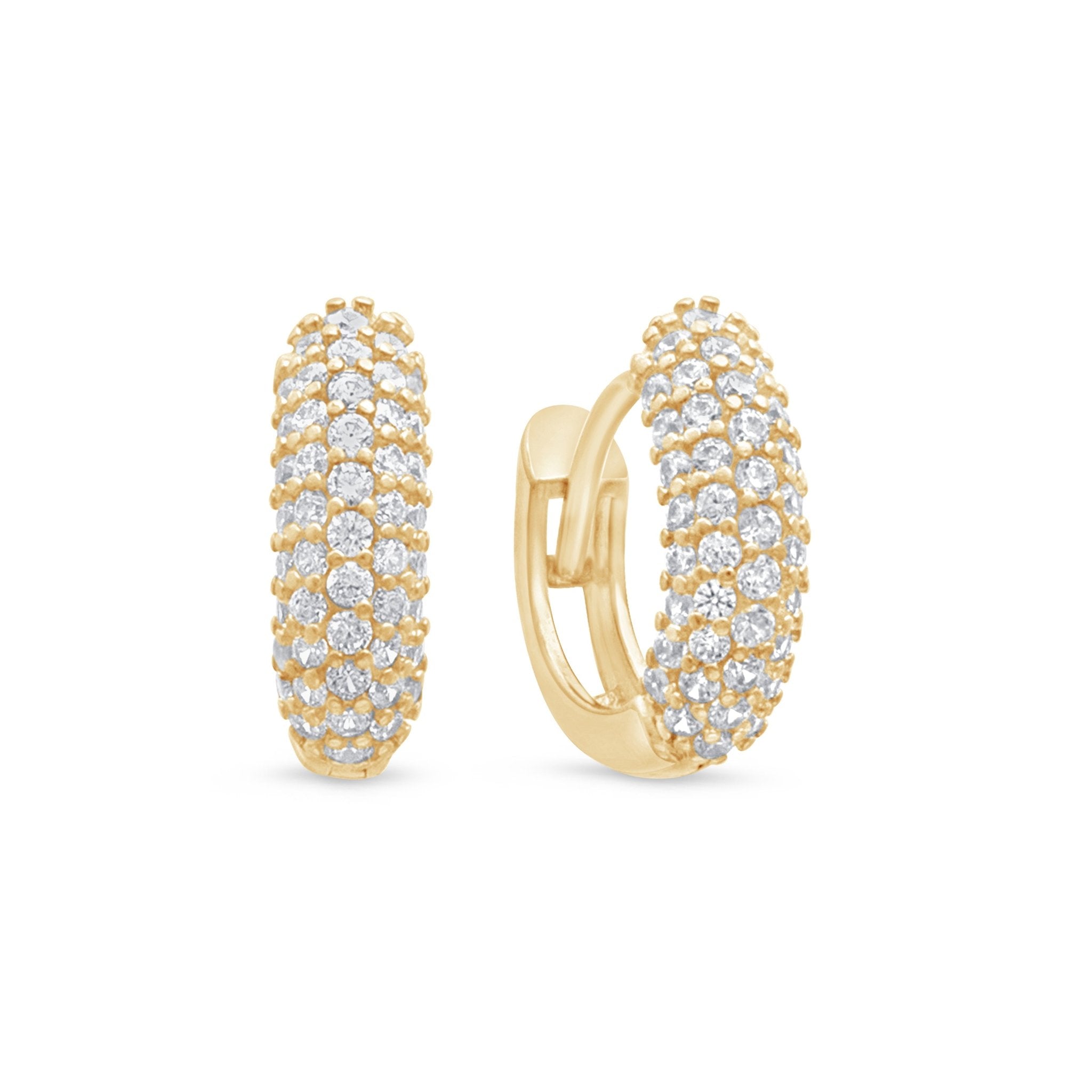 Daith earring....jpg